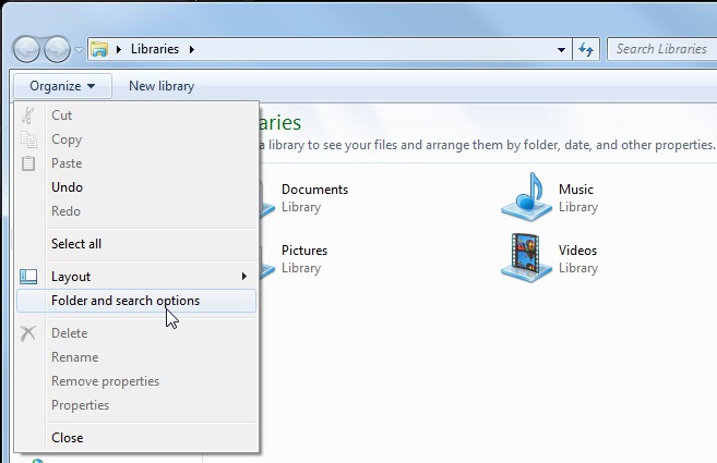 Windows 7 file explorer organize