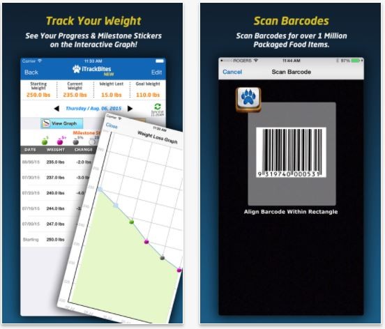 Join Weight Watchers for $1 a Month + Free Biometric Scale :: Southern  Savers