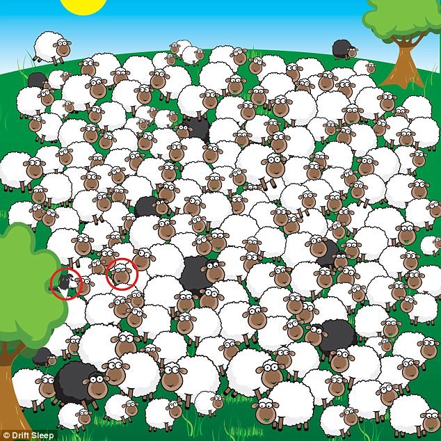 Just can't spot the sleeping sheep? If this hidden object game for adults was too hard for you, keep practicing! It's good for your health to train your brain.