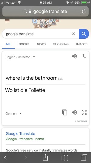 screenshot of google translate