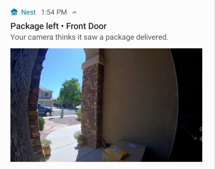 google nest package detection