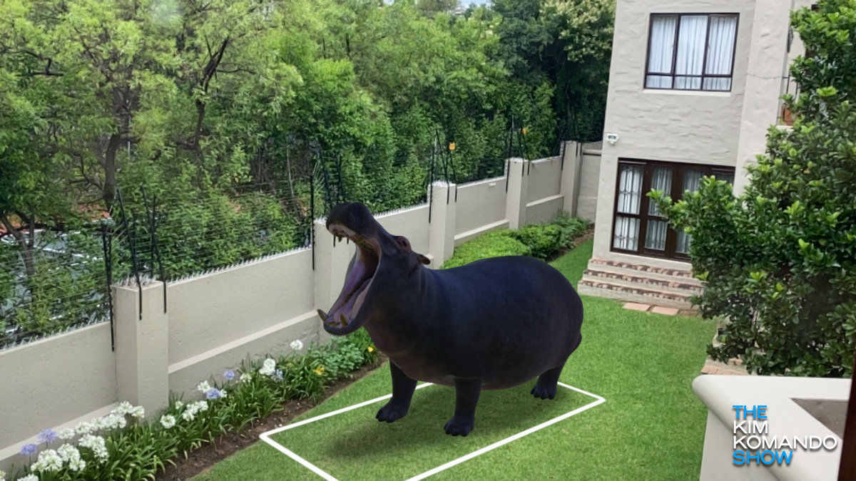 Google AR Animals