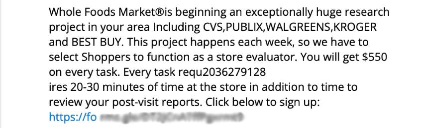 Shopping scam