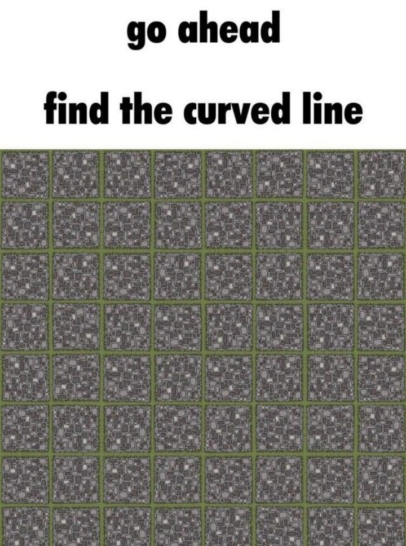 Can you find the curved line in this optical illusion? It isn't easy