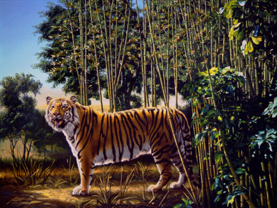 Can you find the hidden word? If you can spot the hidden tiger in this visual brainteaser, you're a genius. Spot the hidden words in this viral challenge.
