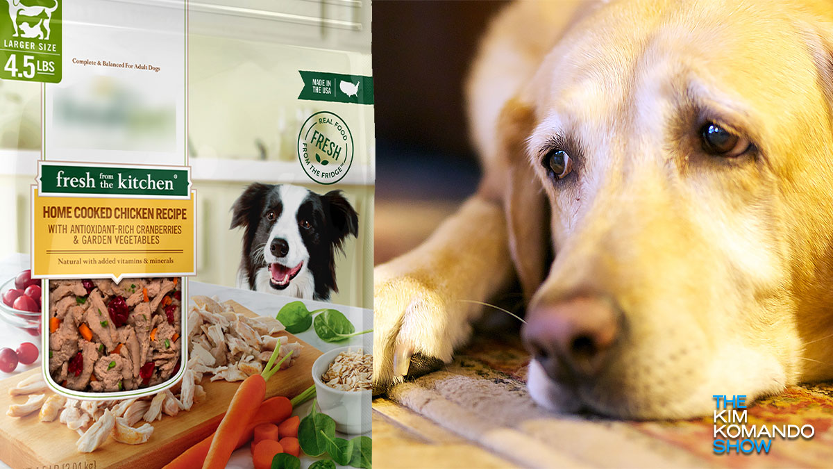 Freshpet dog food recalled due to salmonella risk