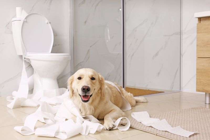 You can't hack your dog, but you can use these life hacks to learn the best ways to clean up after your dogs make messes in the home.