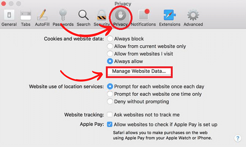 How to Clear Your Cache & Cookies on iPad