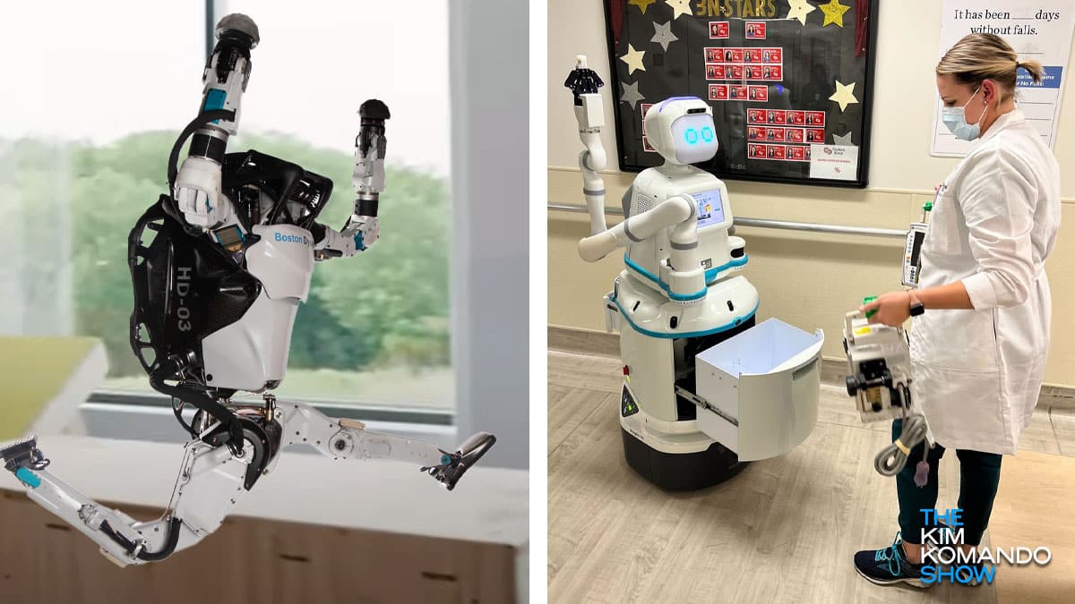 Tired of cooking, cleaning and other household chores? Robot servants are  coming